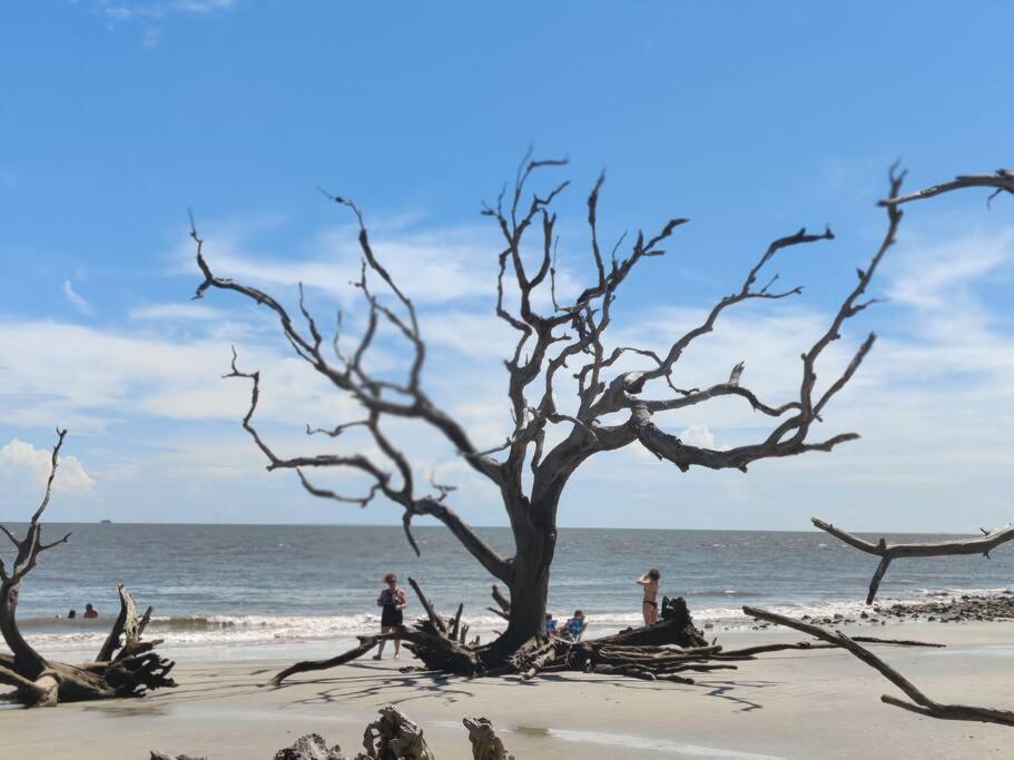 הוילה Jekyll Island House/ Kellys On The Coast /King Bed מראה חיצוני תמונה